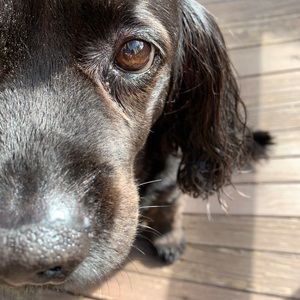 Meet your Posher, Wendy